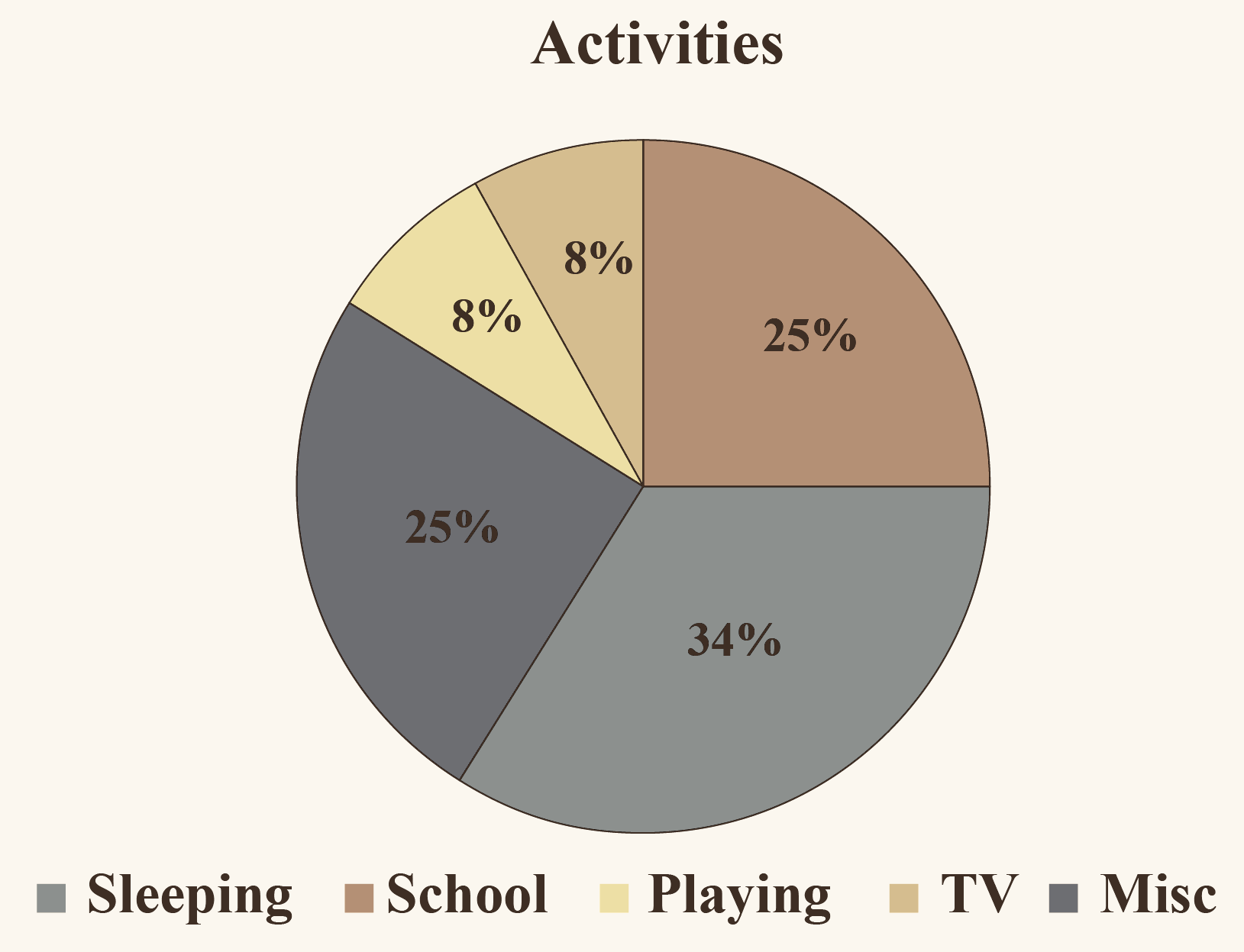Pie chart of activities